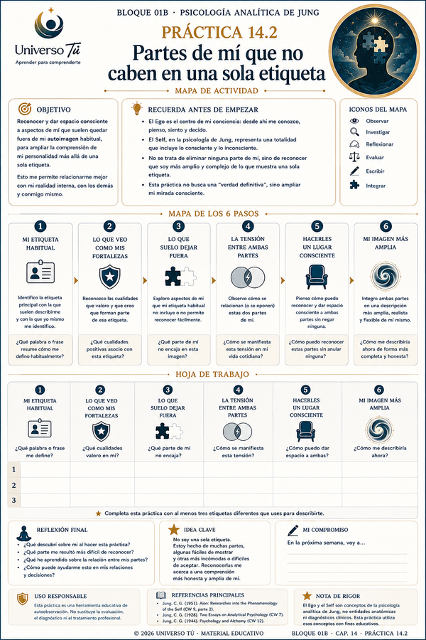 Mapa de acción de la Práctica 2 del Capítulo 14: Partes de mí que no caben en una sola etiqueta