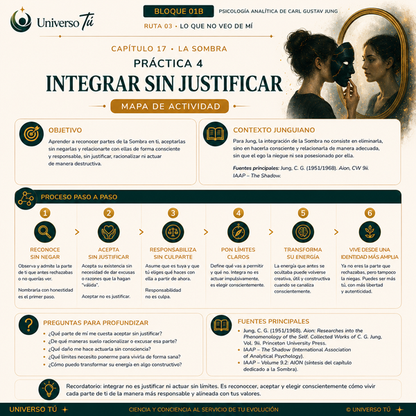 Mapa de acción de la Práctica 4 del Capítulo 17: Integrar sin justificar